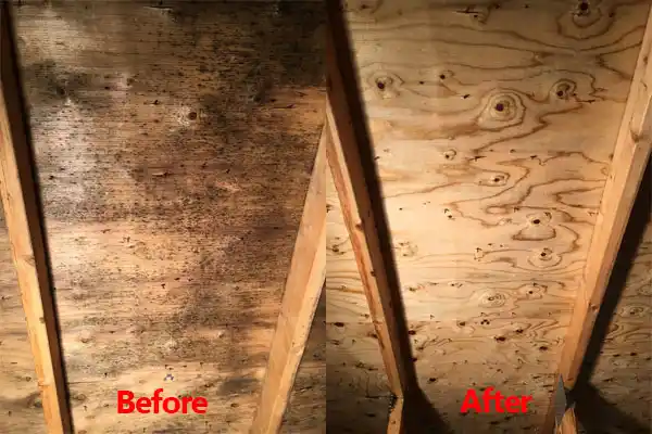 water damage restoration service Gunnison